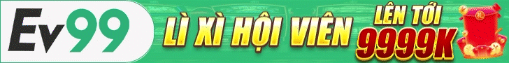 Banner 1